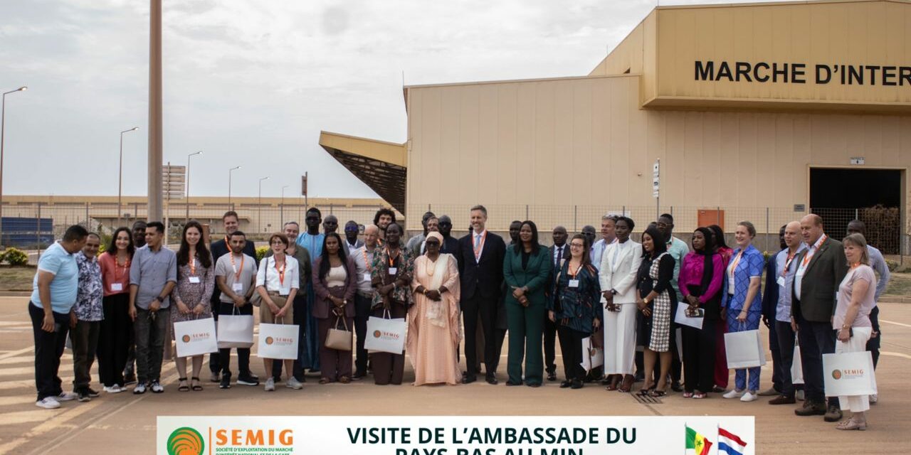 La Directrice générale de la SEMIG SA a eu l’honneur d’accueillir une forte délégation d’entreprises Hollandaises venues  visiter  le marché d’intérêt national de Diamniadio.